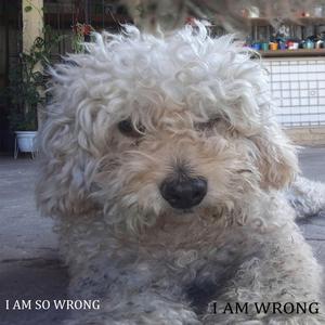 i am so wrong
