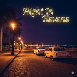 Night In Havana