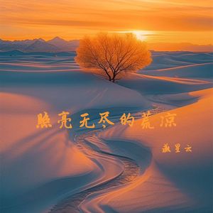 照亮无尽的荒凉