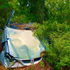 Little Mozart (2024 Remaster)