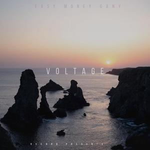 Voltage