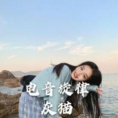 纯电火花 (DJ版)