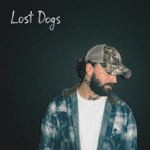 Lost Dogs