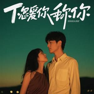 我只是你的插曲 (Cover 丁宇祥)
