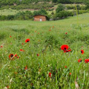 命运的轮回（胎教助眠钢琴曲）