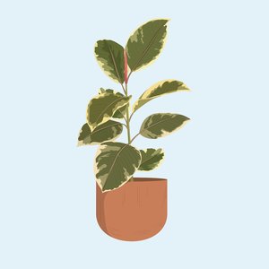 My Heart Beats in Polyrhytm