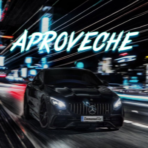 APROVECHE