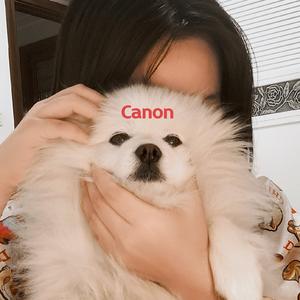 野狼Disco（女声版）