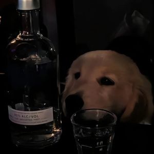 嘴角微笑的模样