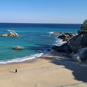 인연의 이름으로