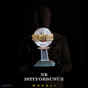 Ne İstiyorsunuz (Survivor)