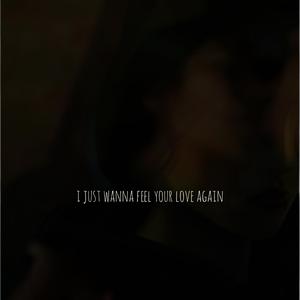 I Just Wanna Feel Your Love Again