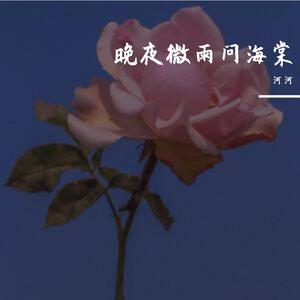 晚夜微雨问海棠（翻自 镜予歌）