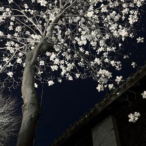 Letter That Writing In the Wind（写在风中的信）