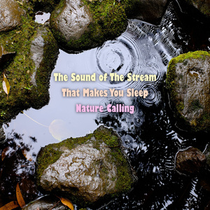 들으면 잠이 오는 개울물소리