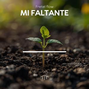 mi faltante