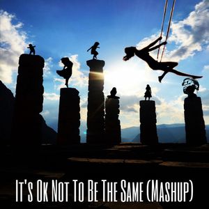 It's Ok Not To Be The Same (Mashup)