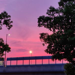 立夏后的二十二天