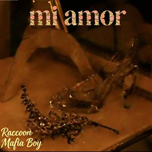 mi amor