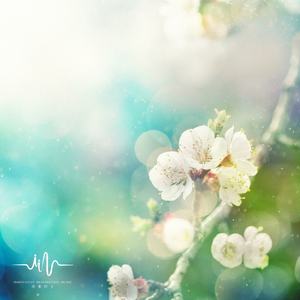 排箫悦耳 (静心打坐音乐)