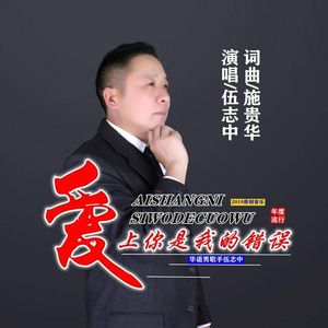 爱上你是我的错误