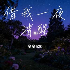 借我一夜清醒