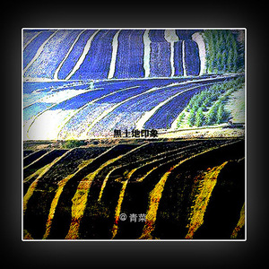 喊不走父亲和他的愁