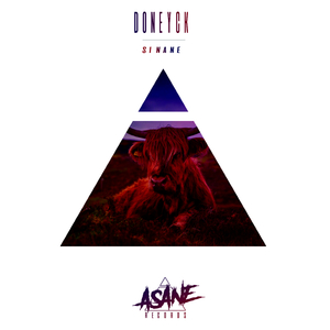 Sinane (Original Mix)