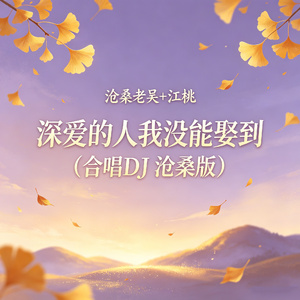 深爱的人我没能娶到（合唱DJ沧桑版）
