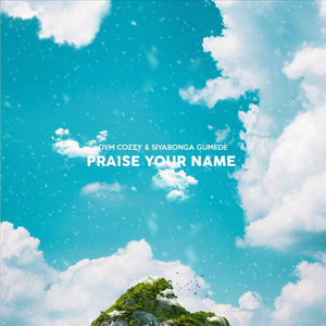 Praise Your Name