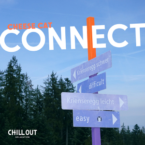 CONNECT (feat. トニーガンボ, ユキネ & ハヅキ)