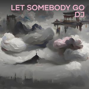 Let Somebody Go (Dj)