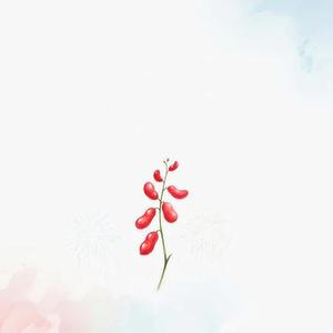 相思 (Cover 毛阿敏)