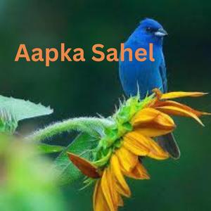 Aapka Sahel