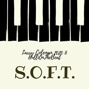 S.O.F.T. (feat. HulliOnTheBeat)