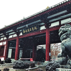 洛阳理工没有爱情（洛吉协）