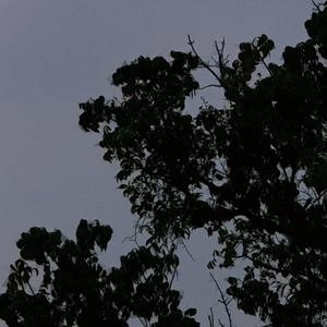 Kalmidi Yar《最新版》