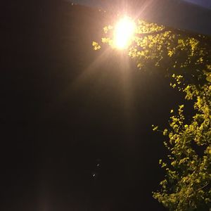 往后山高路远GH