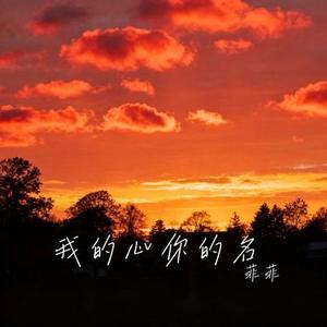 我的心你的名 (Cover 王佳音)