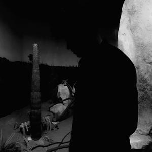 The Man In The Shadows