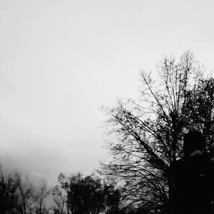 stockholm (feat. stxrz)