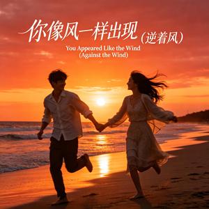 你像风一样出现（逆着风 ）