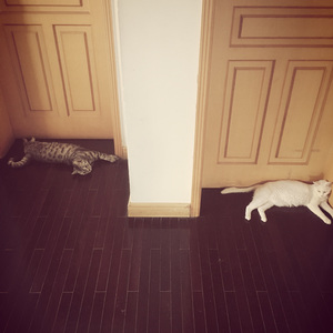 Caution 警告,Part 1