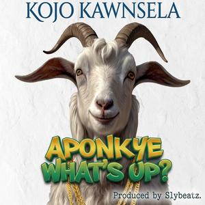 Aponkye What's Up?