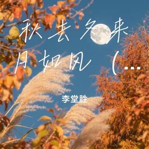 秋去冬来月如风 (Cover 李嘉嘉)