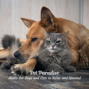 Tranquil Tracks for Tails