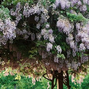 烟火(prod by 顺赢INKA)