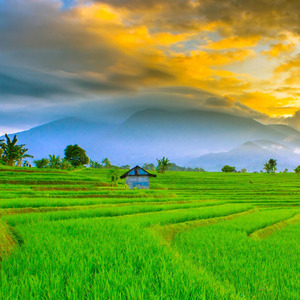 Ya Rasulallah Abah Guru Sekumpul