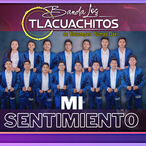 Mi sentimiento
