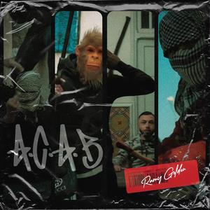 A.C.A.B